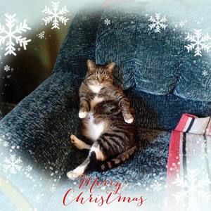 Meet your Posher, Anne